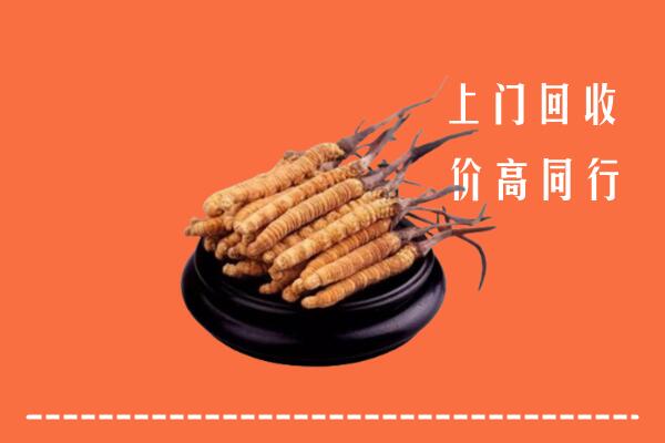 高价求购：娄底市回收散虫草