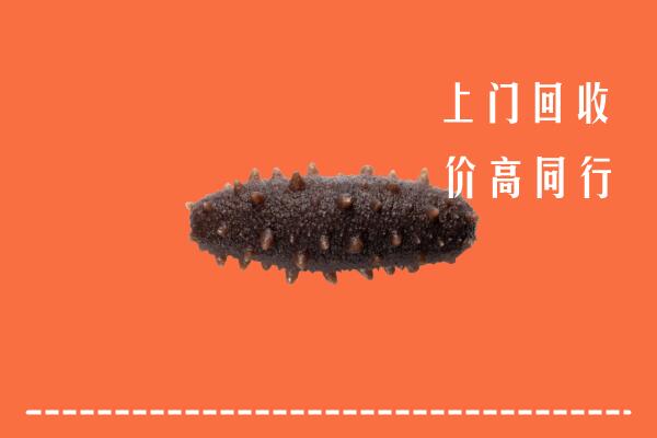 娄底市回收海参